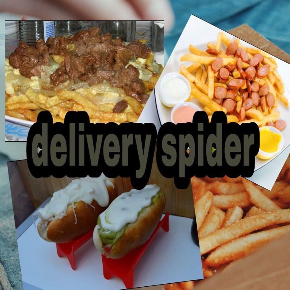Delivery Spider