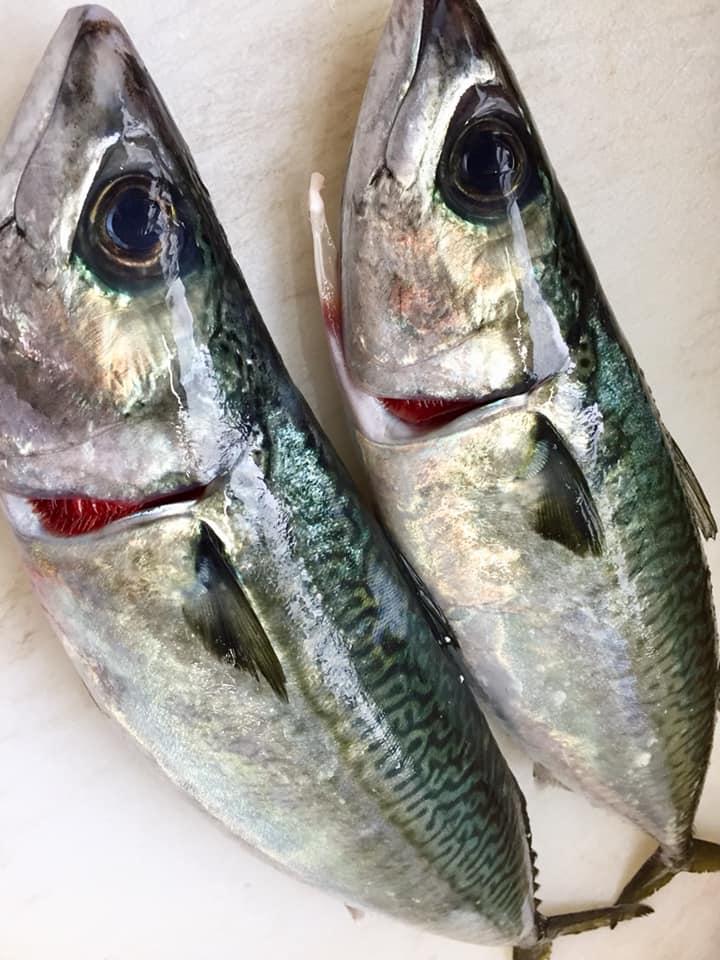 津田沼美食酒家 奏