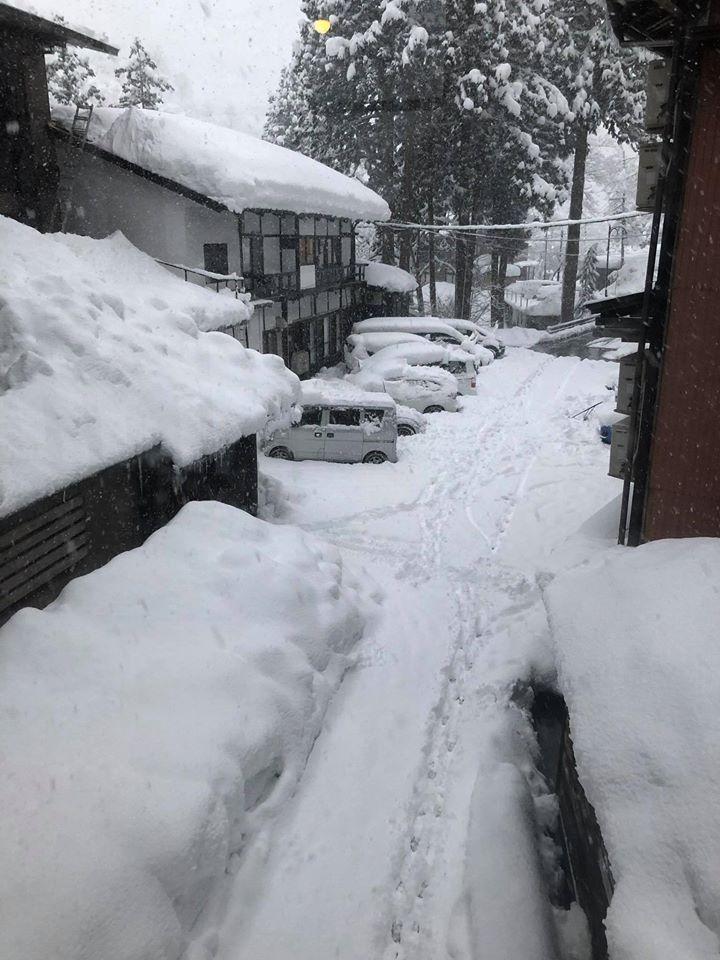 食堂　コイハウス 東川口