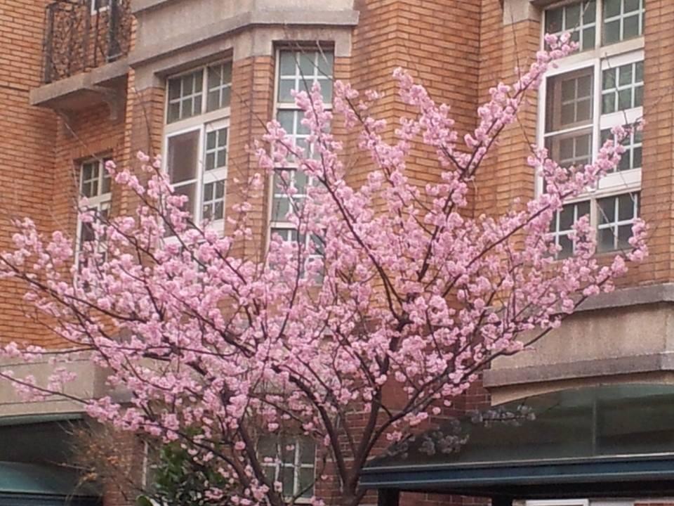 家康早餐屋 Hsinchu