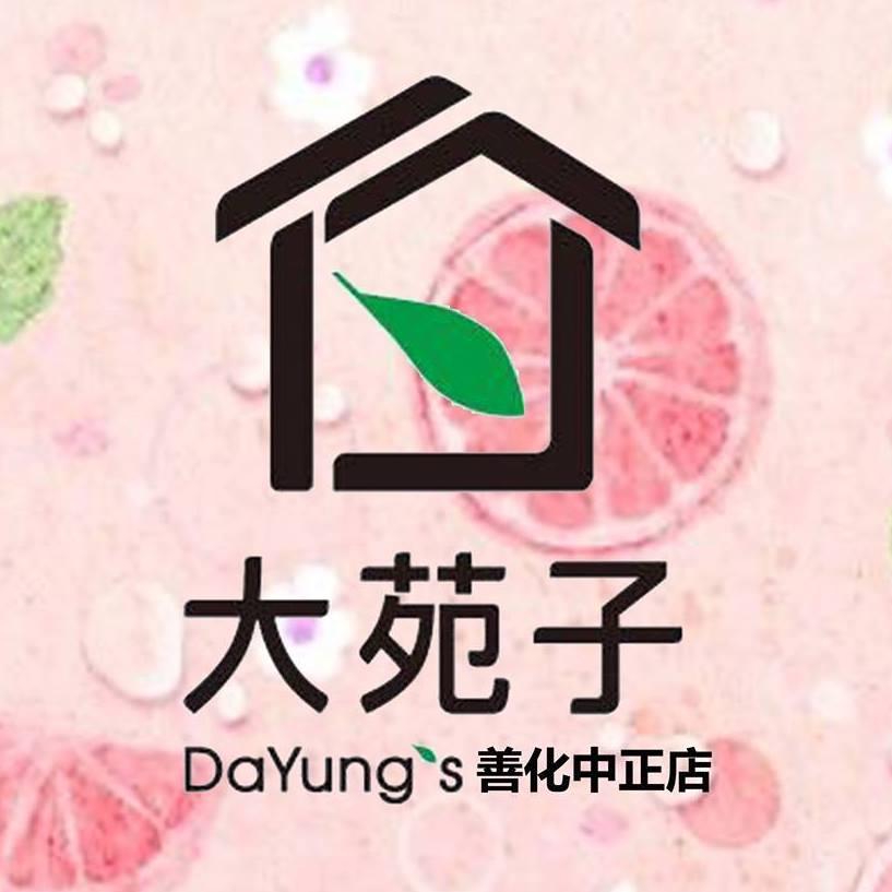 大苑子 善化中正店