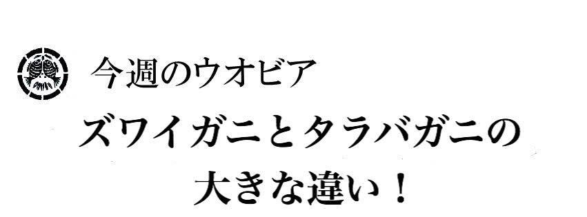 竹若（takewaka）