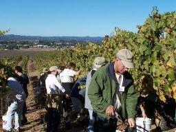 Wine Boot Camp