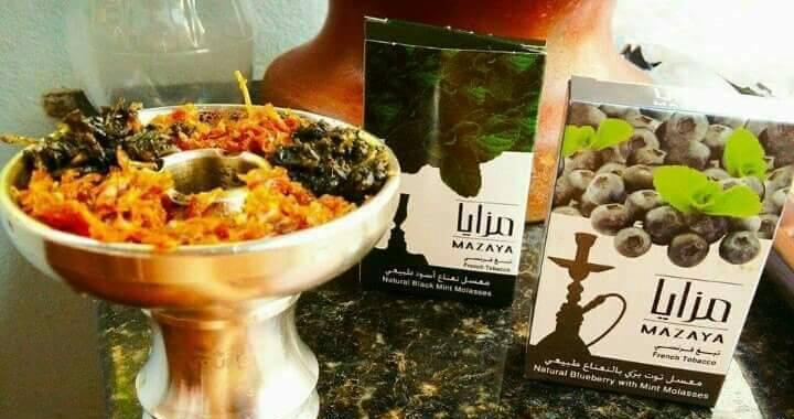 Shesha cafe