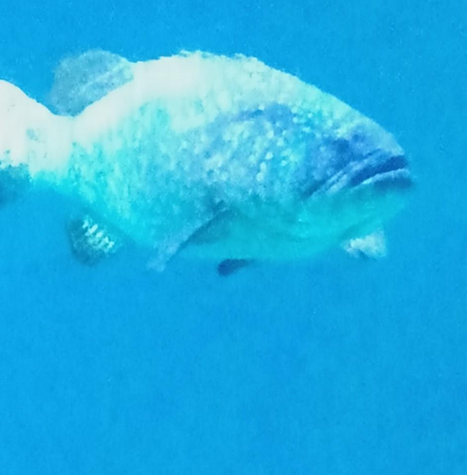 一佳燒烤海鮮