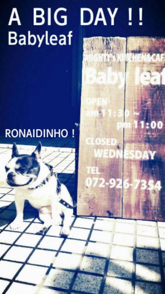 Maghty′s kitchen＆cafe Babyleaf