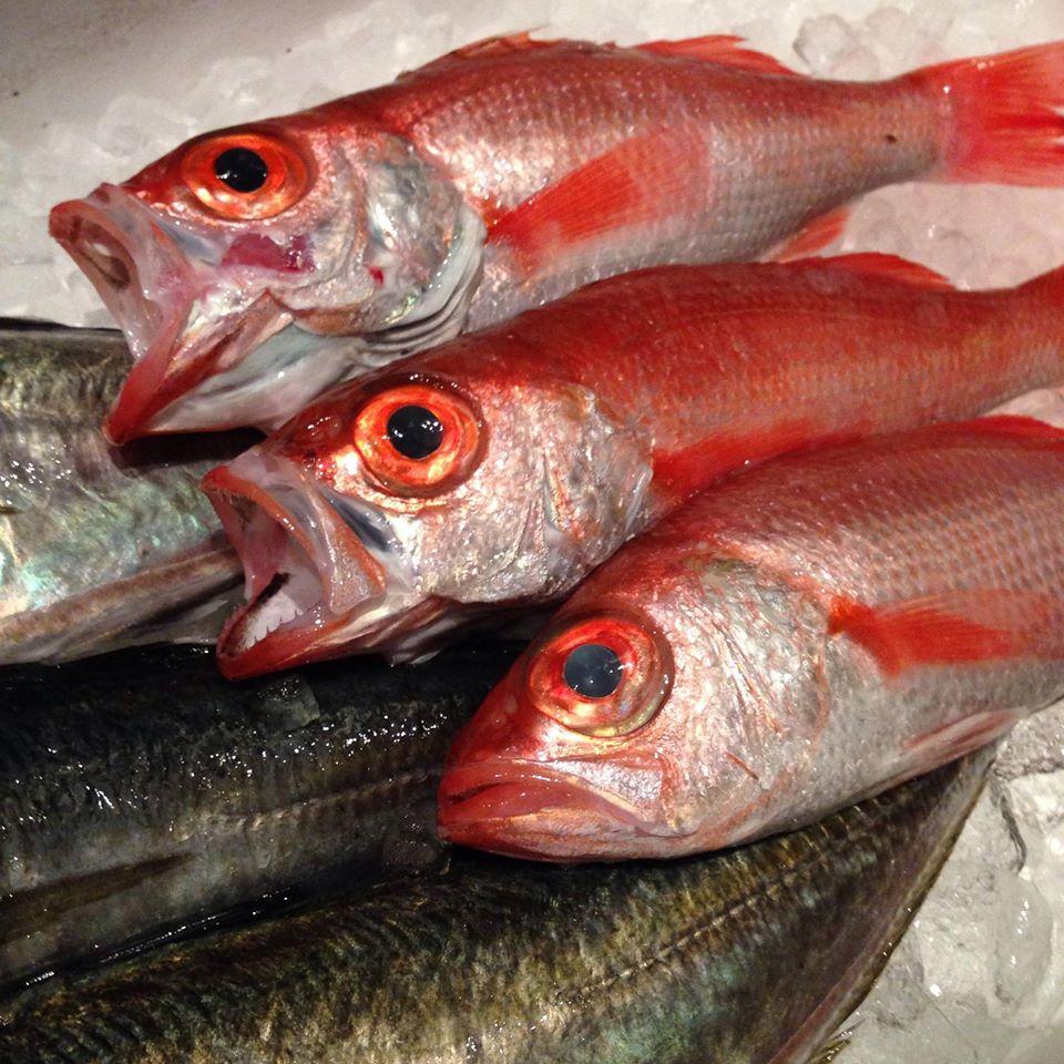魚山人　和食 高岡