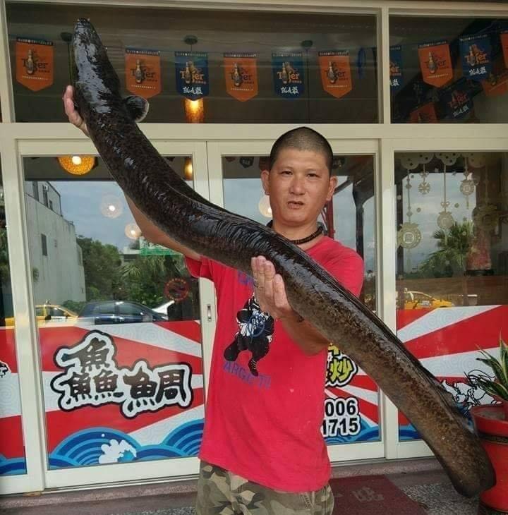 鱻鯛熱炒