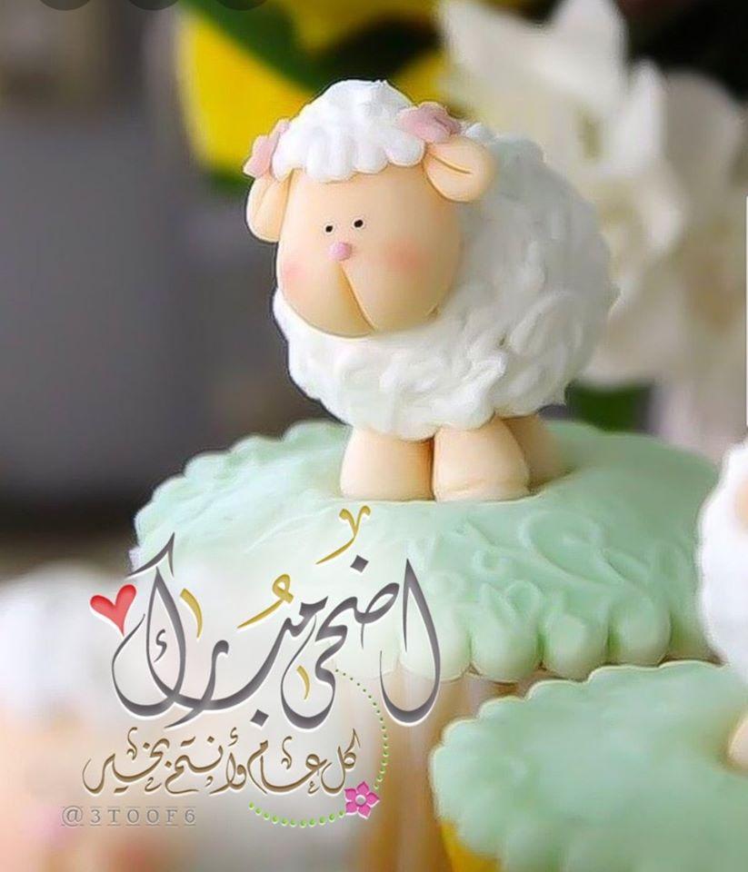 مطعم وكافيه قطر الندى