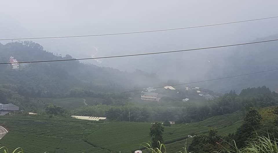 二尖山休閒茶園