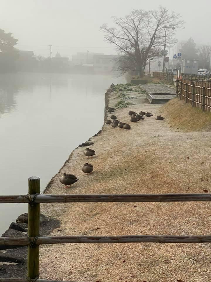 お城のそば本丸茶屋