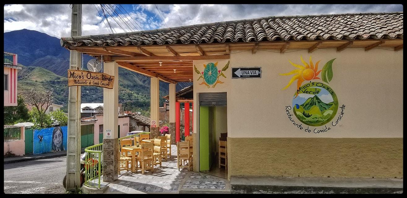 Mico's Oasis Verde