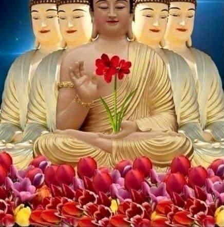 愛妮食堂