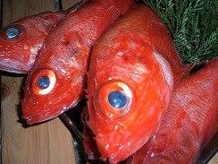 割烹 瞠 若宮店
