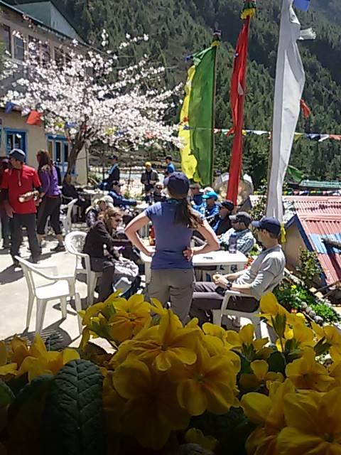 Mount Kailash Lodge & restaurant monjo