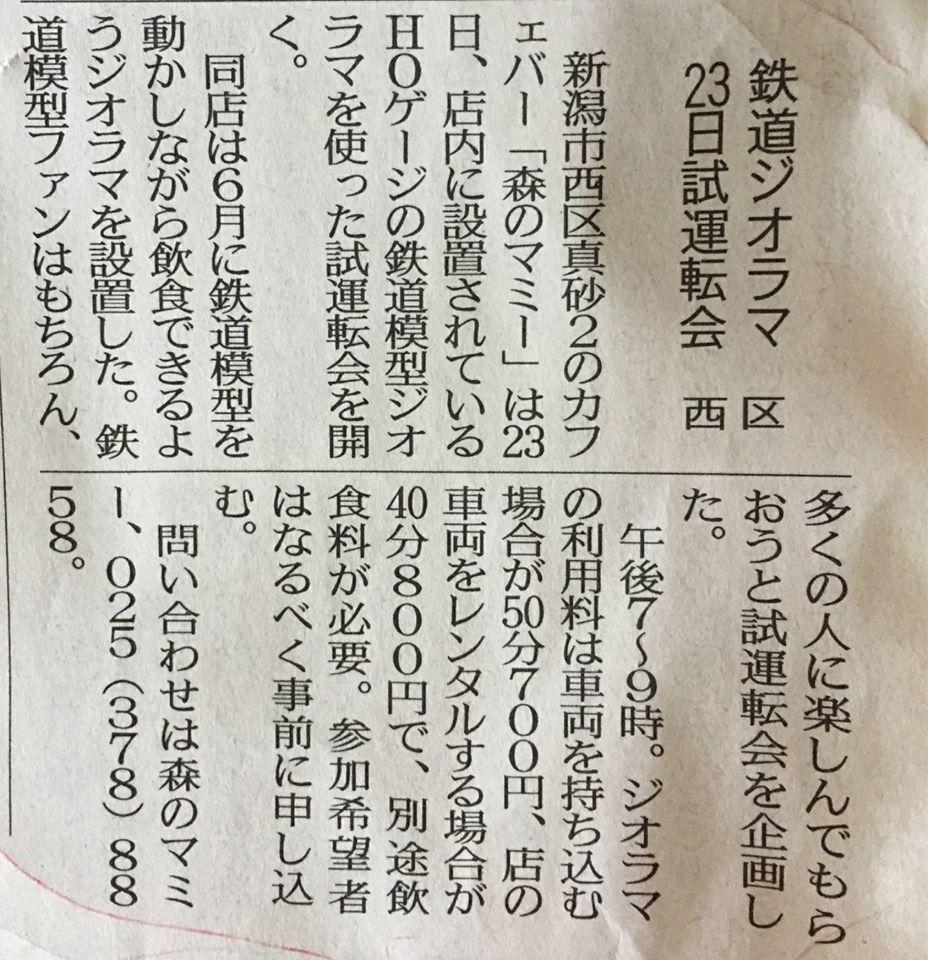 森のマミー