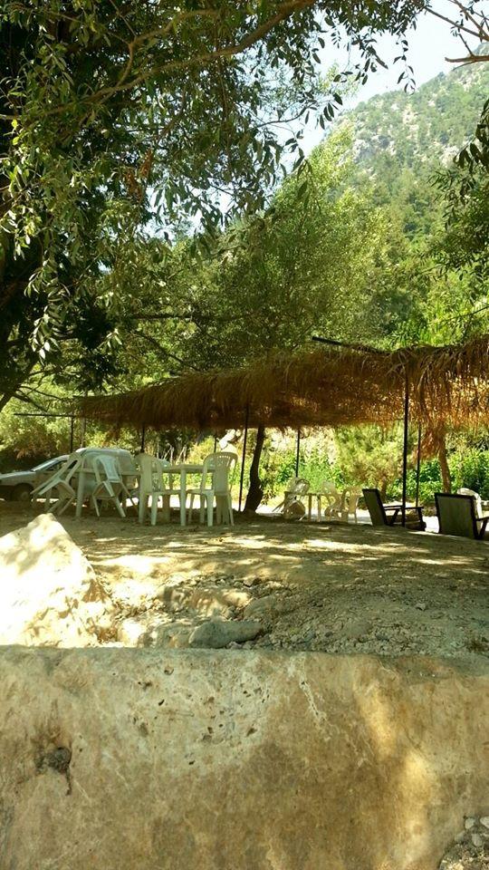 Friends Resto Cafe- Janet kartaba