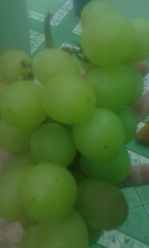 Frutería La Vid