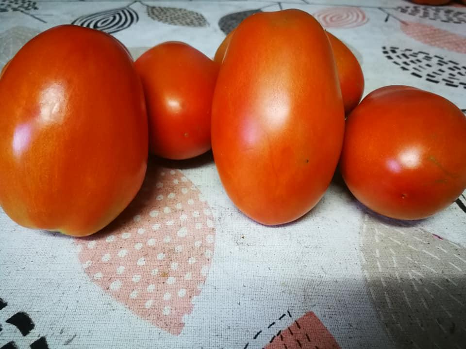 ABBAS SNACK