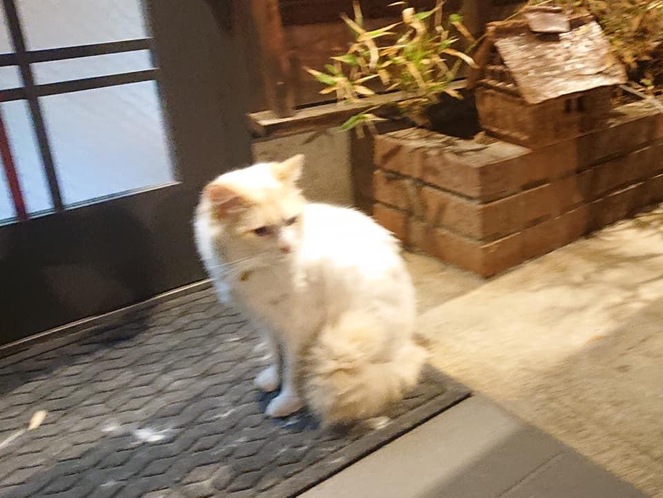 季味