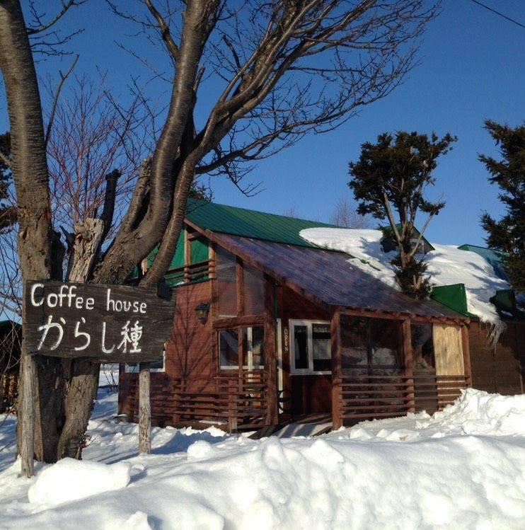 めん cafe からし種