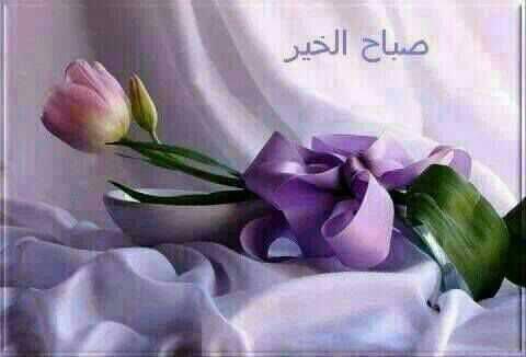 سناك البراء