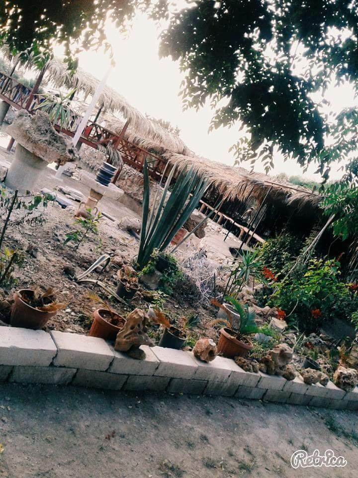 مطعم كوخ العجمي