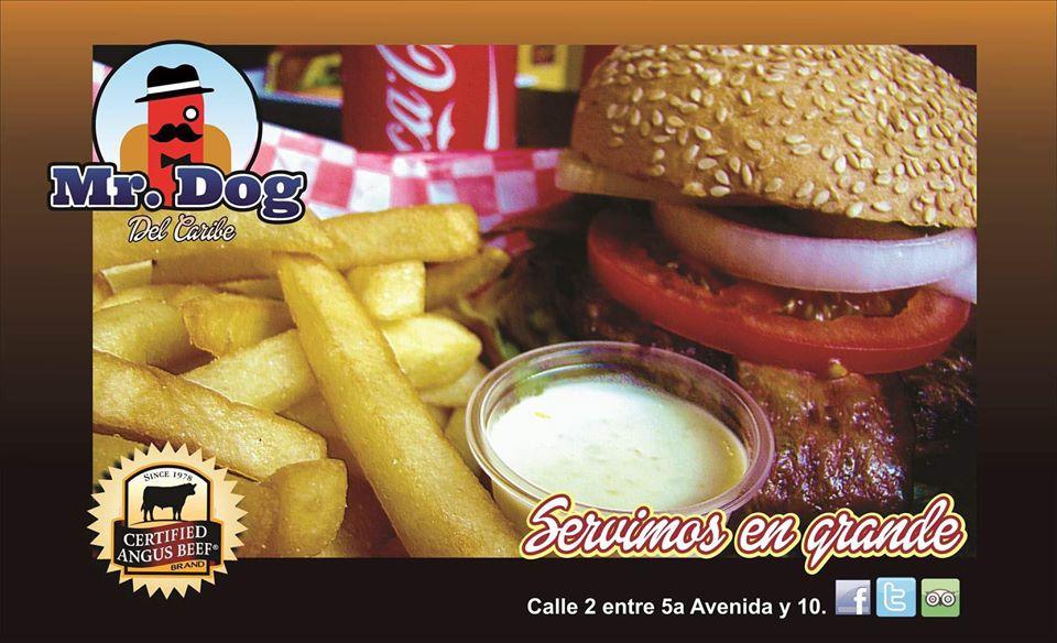 Mr Dog del Pacifico Santiago
