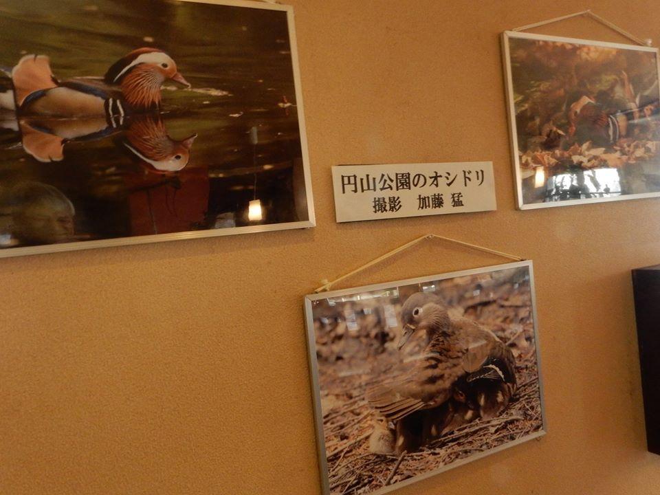 リファインド