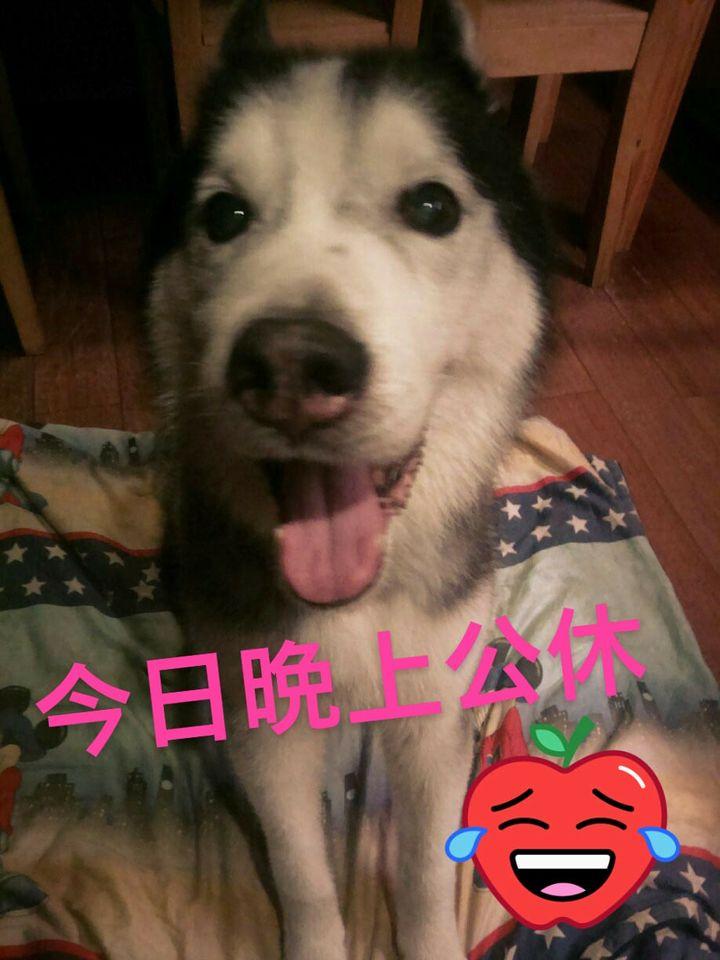 義麵房