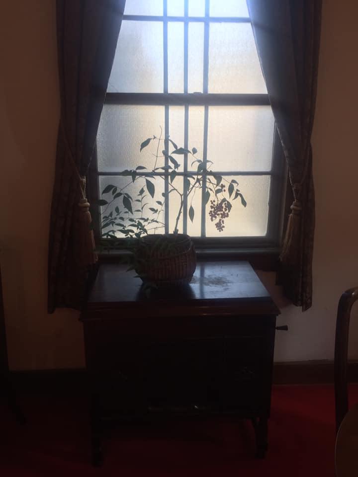 桃花流水