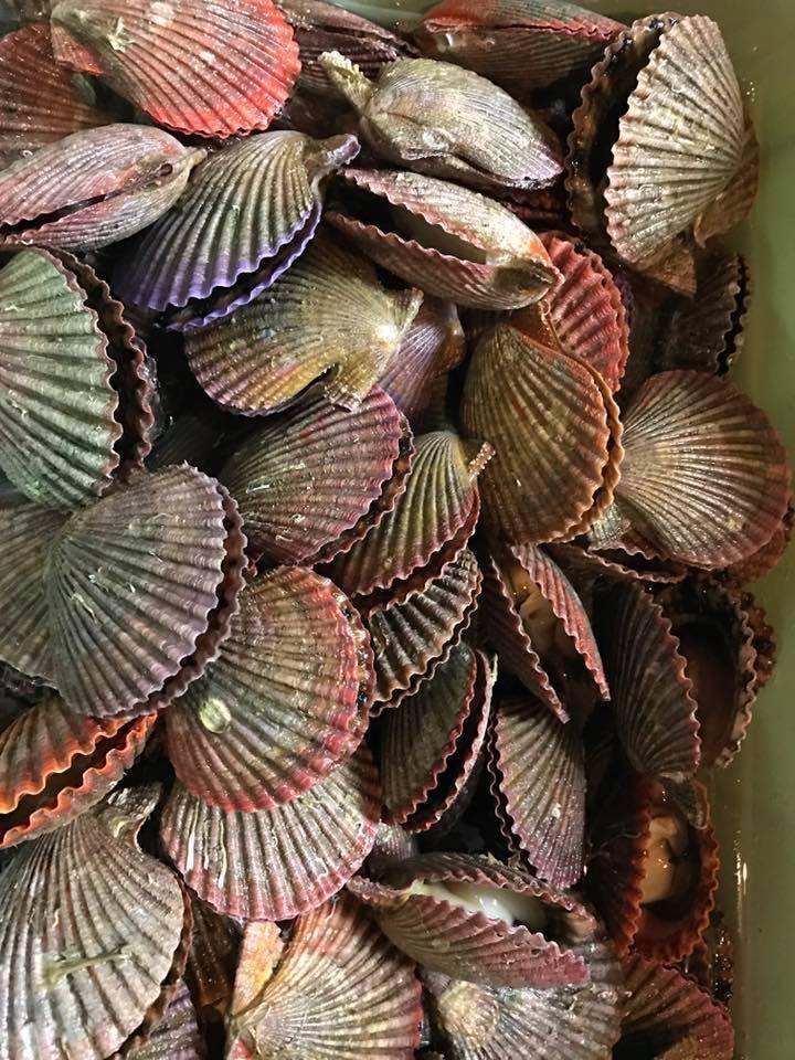 名古屋で南伊勢町の美味い鮮魚がお得に食べられる店「東新漁港」