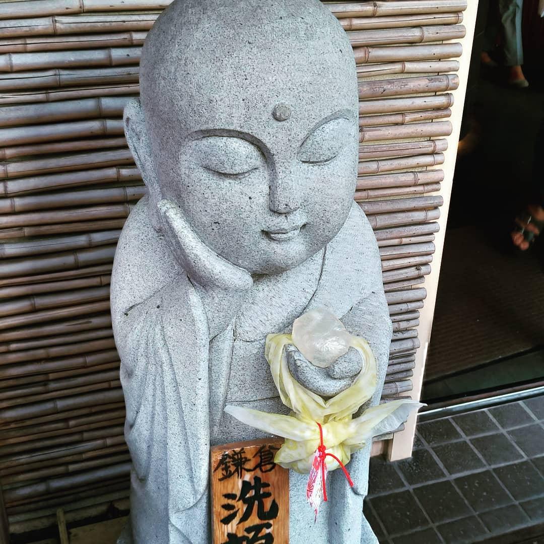 白朋