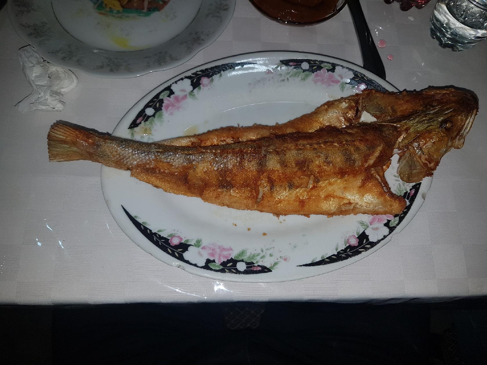 Milli Yemekler Restoran Sheki