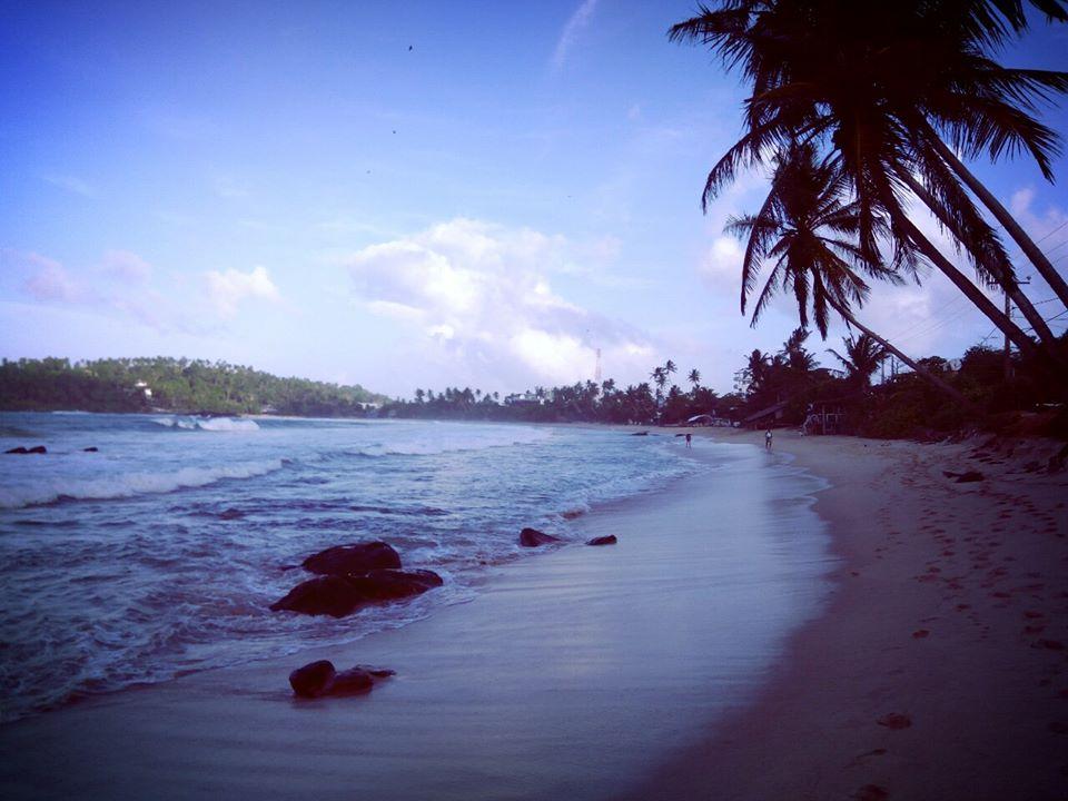DimaliInn