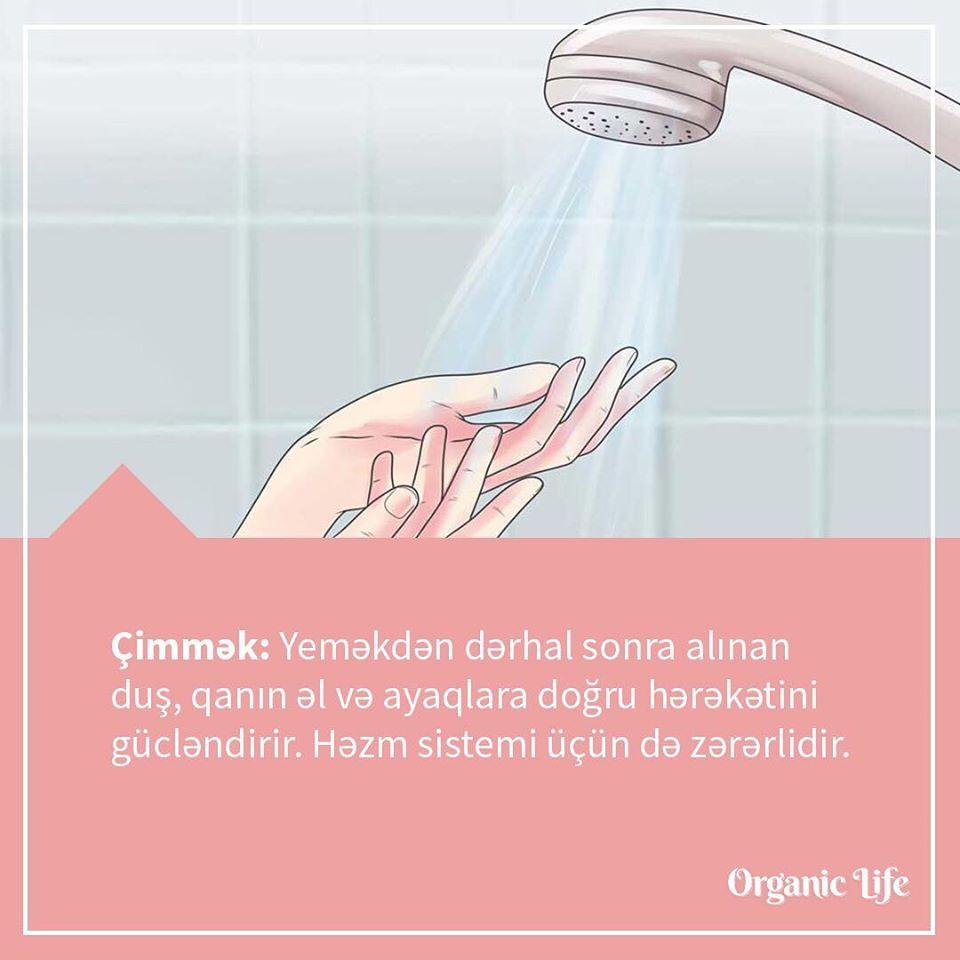 OBOX - Organic Life