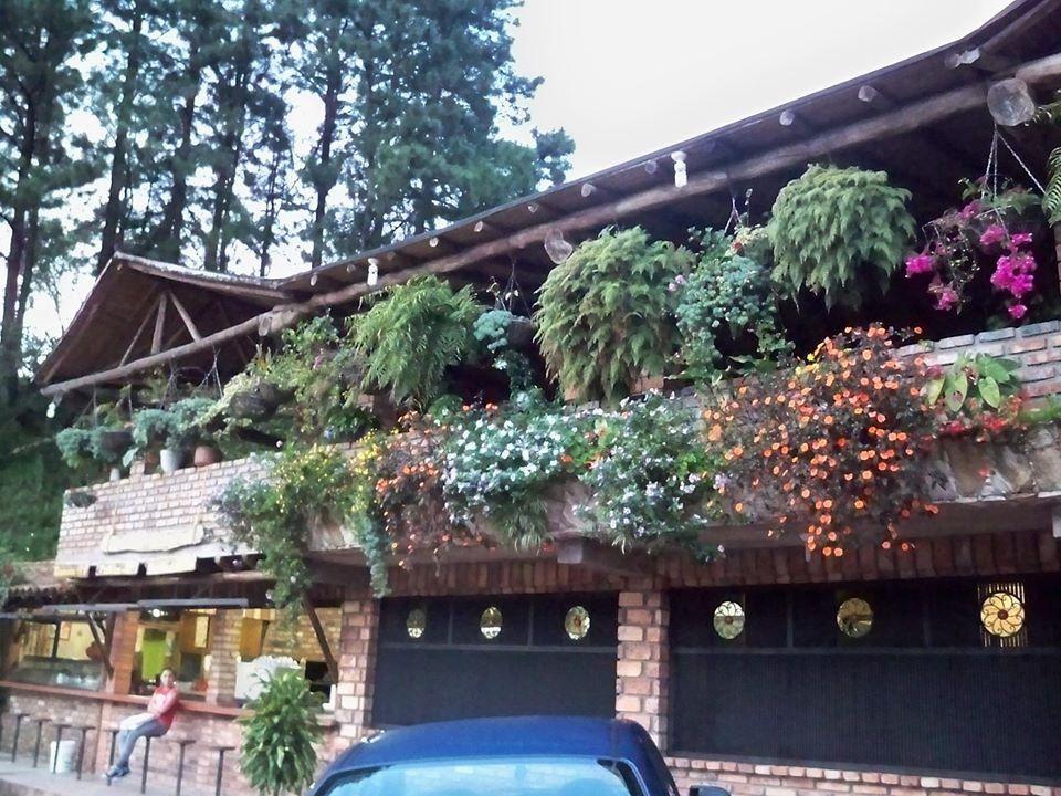 Mi cabaña en Salomón