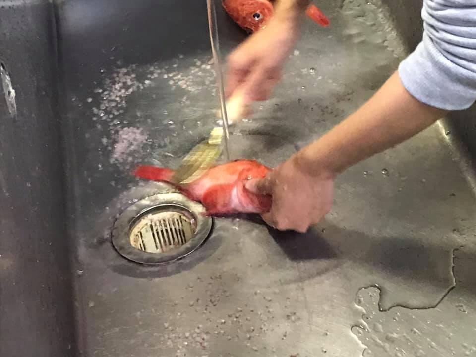 さかえ寿司