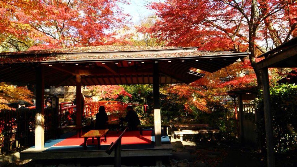 修善寺温泉　茶処　 竹の里