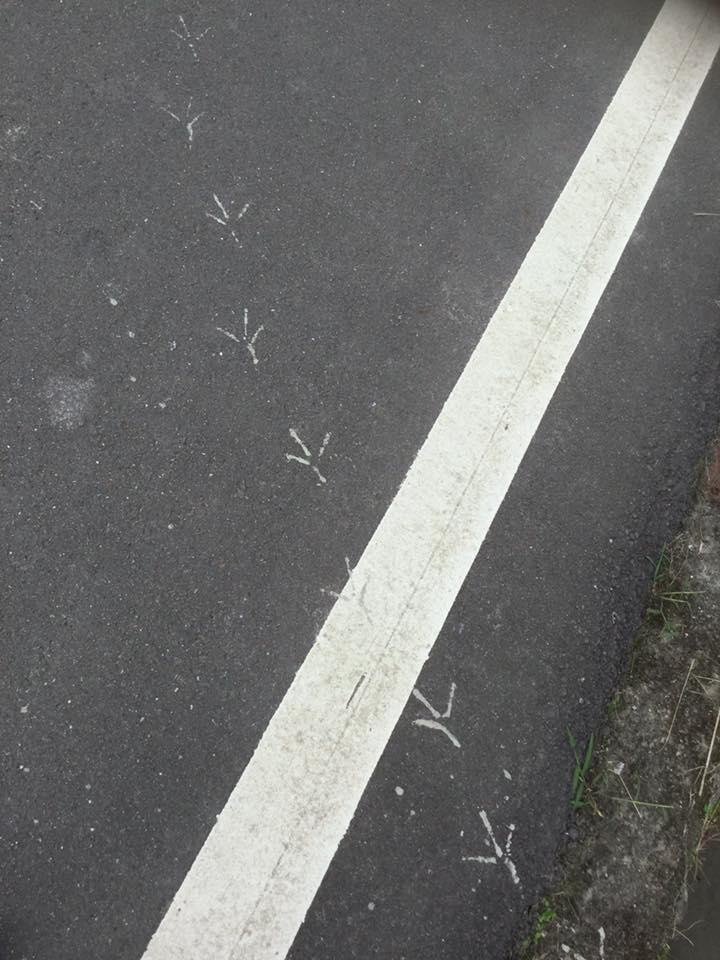 鐵紅橋秘密基地 Taichung