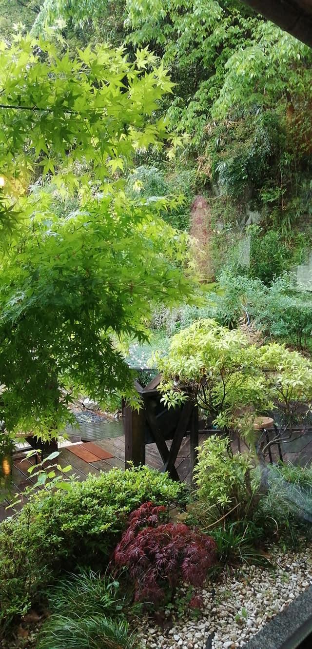 テラスカフェ・ツリーハウス