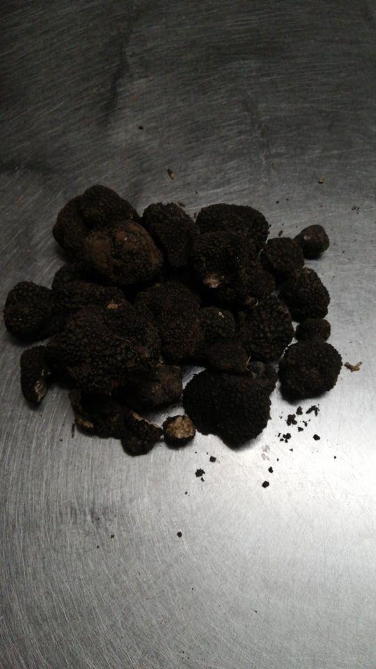 trattoria-pizzeria le trote