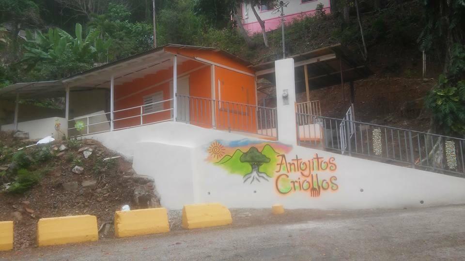 Antojitos criollos PR 15 kil 6.6 con el sazón de socky y tatan