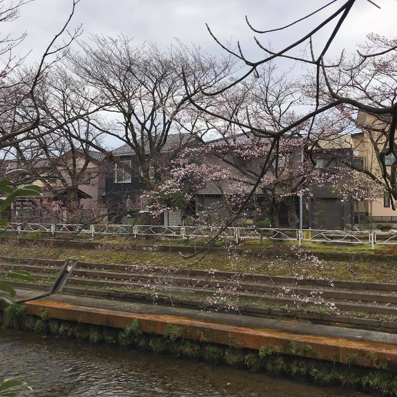 むらい珈琲店