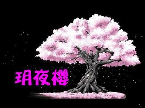 玥夜櫻