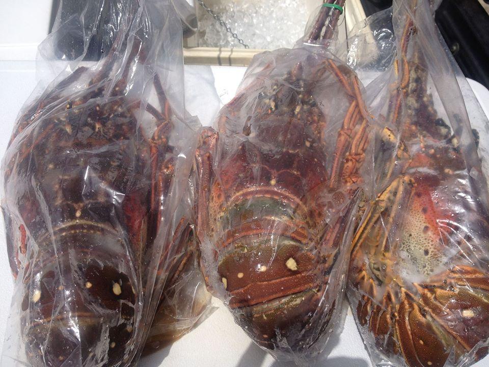 Pescaderia Del Este