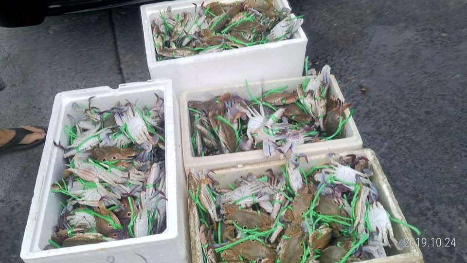 翡翠灣海鮮熱炒店