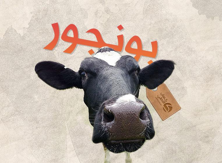 كساب الأصلي