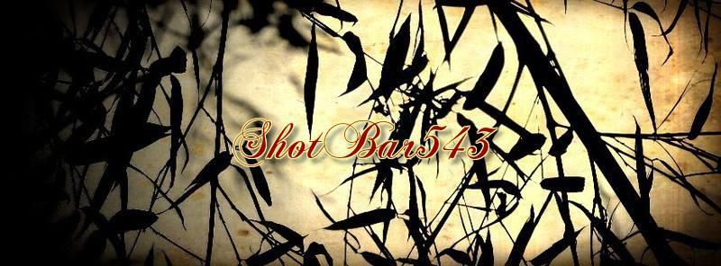 Shot bar 543