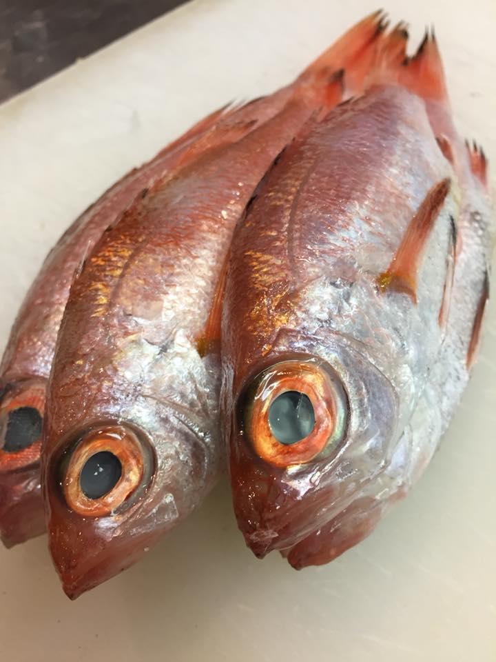 はくたか